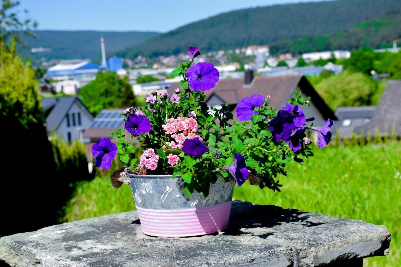 Hotel Bergwiesen - Zimmer Mit Balkon Oder Terasse Lohr Buitenkant foto